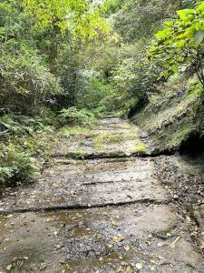鎌倉 朝夷奈切通(水溢れてました…)