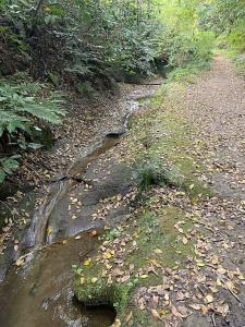 鎌倉 朝夷奈切通