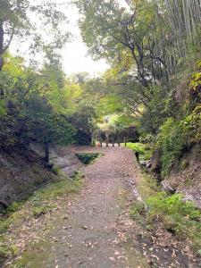 鎌倉 朝夷奈切通