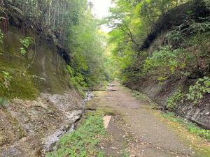 鎌倉 朝夷奈切通