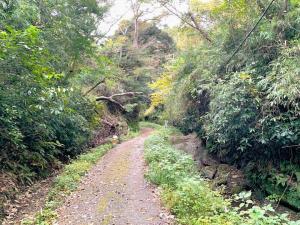 鎌倉 朝夷奈切通(西側入口付近)