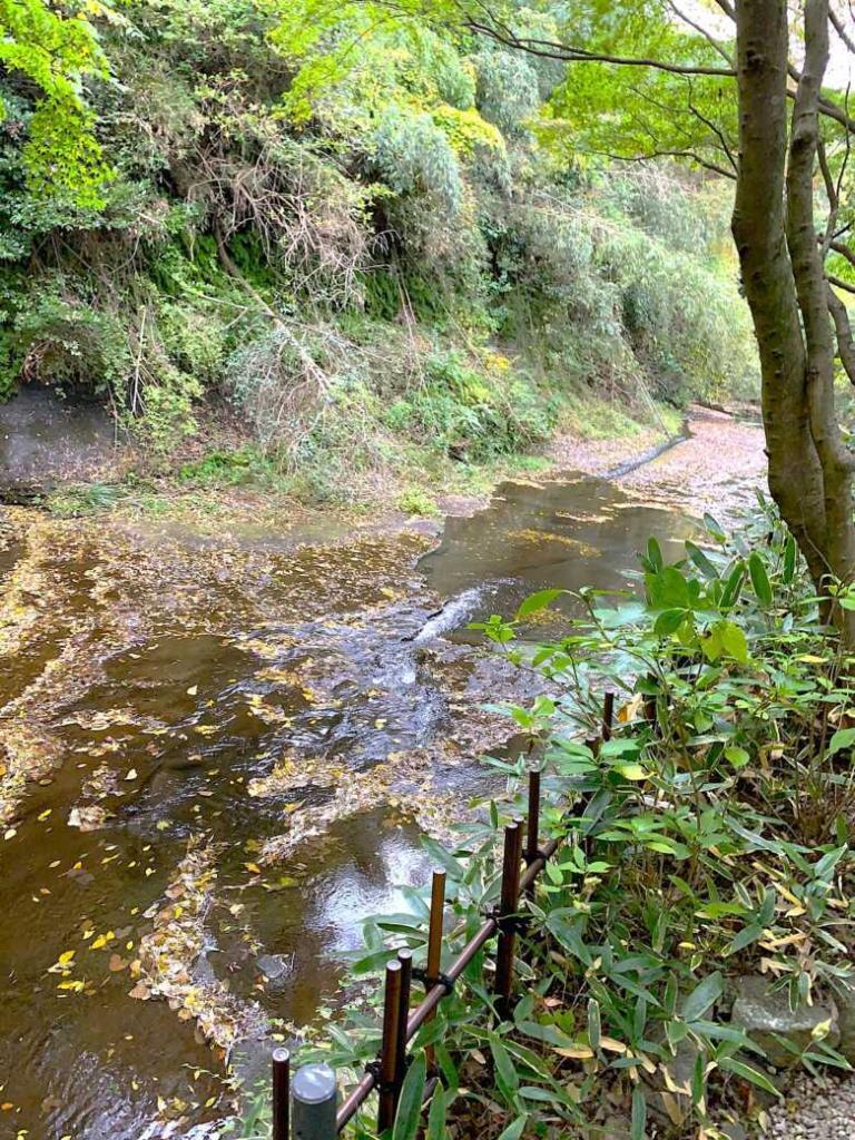 鎌倉 一条恵観山荘
