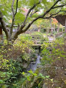 鎌倉 一条恵観山荘