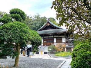 鎌倉 報国寺(竹寺)
