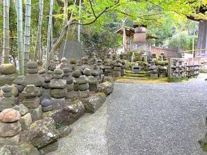 鎌倉 報国寺(竹寺)