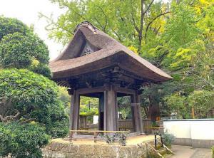 鎌倉 報国寺(竹寺)