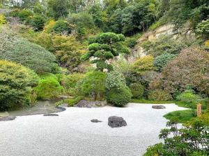 鎌倉 報国寺(竹寺)