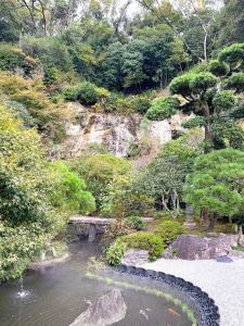 鎌倉 報国寺(竹寺)