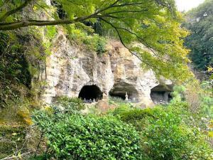 鎌倉 報国寺(竹寺)