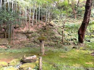 鎌倉 報国寺(竹寺)