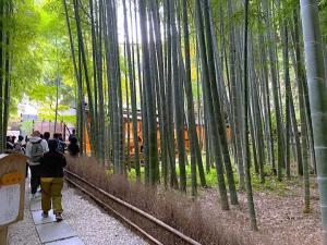 鎌倉 報国寺(竹寺)