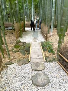 鎌倉 報国寺(竹寺)