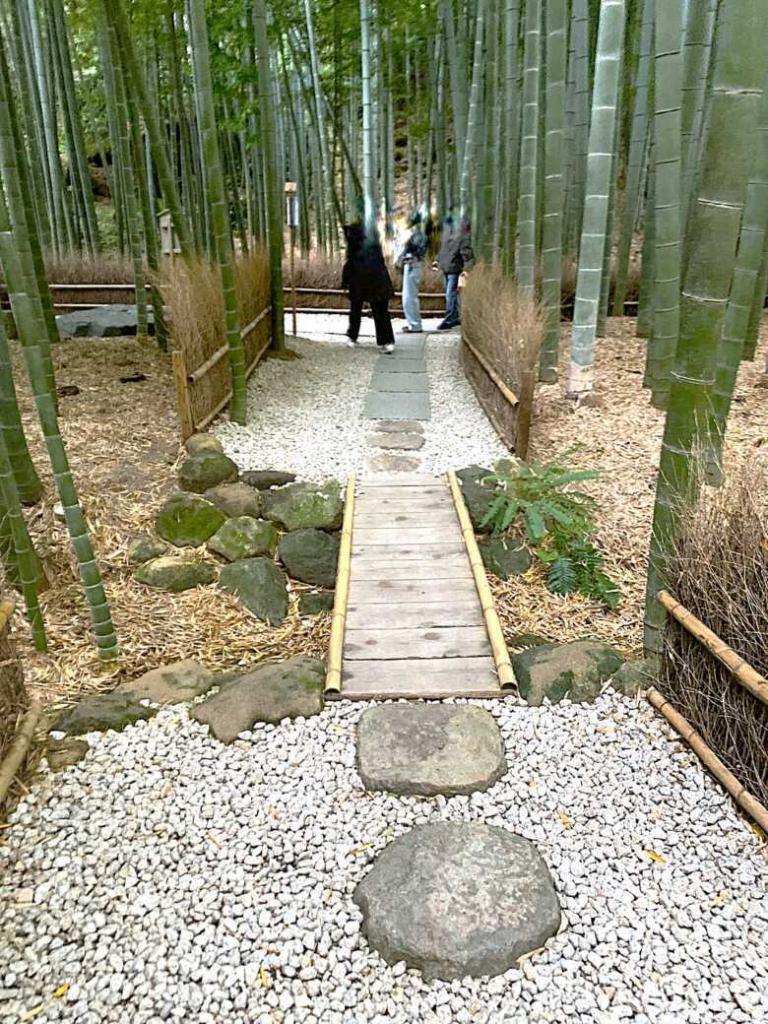 鎌倉 報国寺(竹寺)