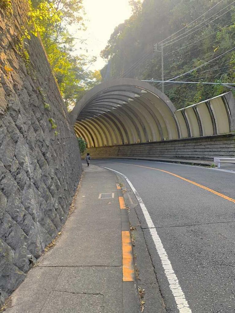 鎌倉 巨福呂坂切通(洞門西側)