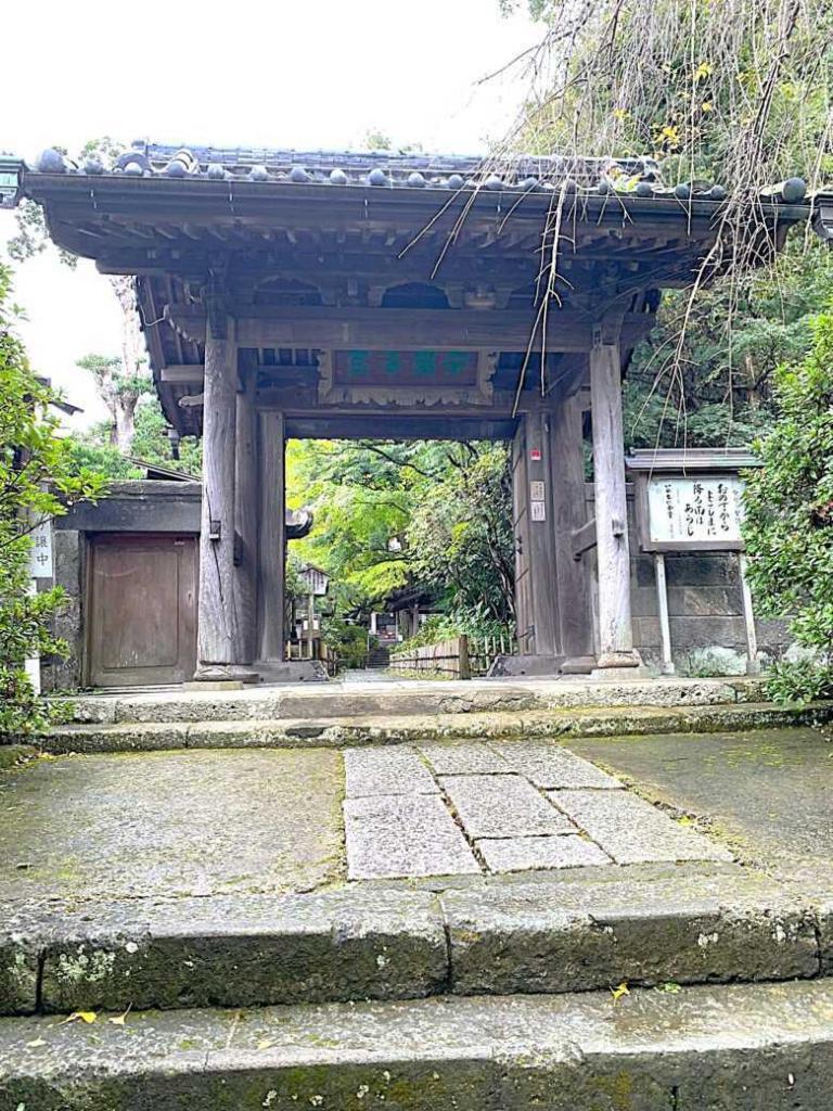 鎌倉 安国論寺