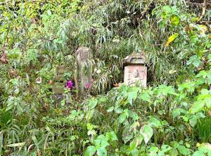 鎌倉　名越切通