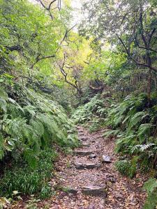 鎌倉　名越切通