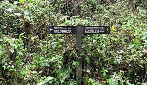 鎌倉　名越切通