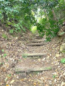 鎌倉　名越切通