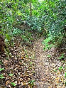 鎌倉　名越切通