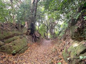 鎌倉 名越切通・第3切通付近