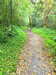 鎌倉　名越切通