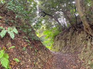 鎌倉 名越切通・第2切通付近