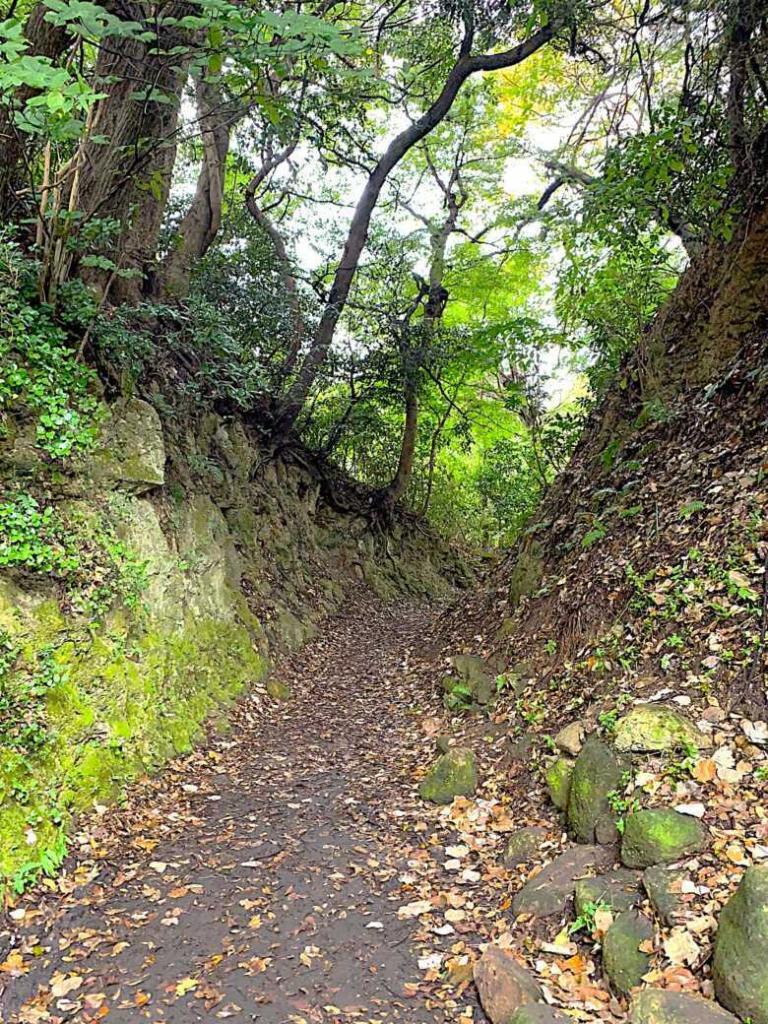 鎌倉　名越切通・第2切通付近