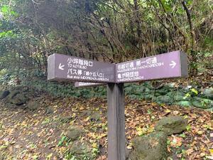 鎌倉 名越切通・第2切通付近