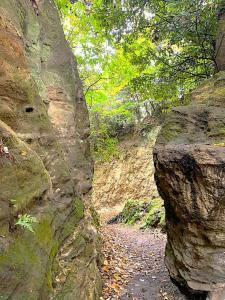 鎌倉 名越切通・第1切通付近