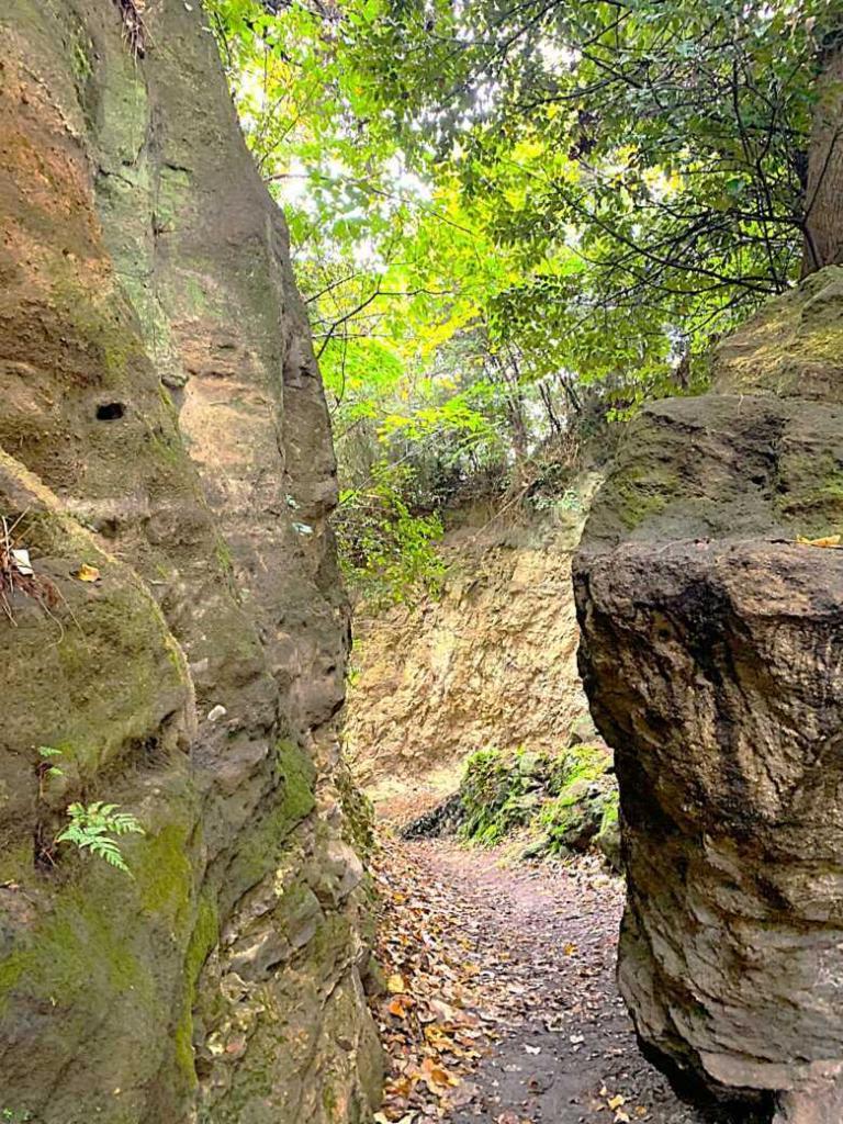 鎌倉　名越切通・第1切通付近