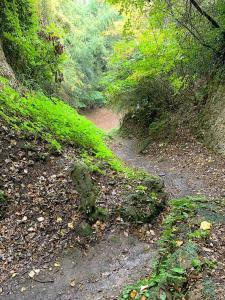 鎌倉　名越切通・第1切通付近