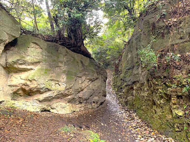 鎌倉 名越切通・第1切通付近