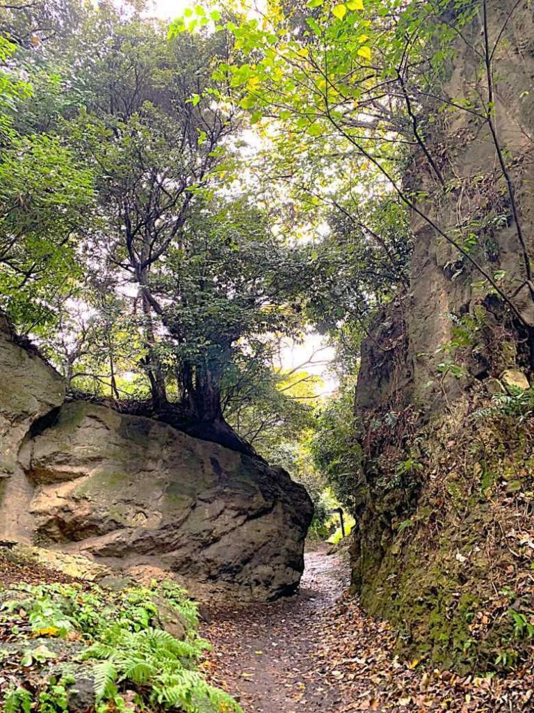 鎌倉　名越切通・第1切通付近