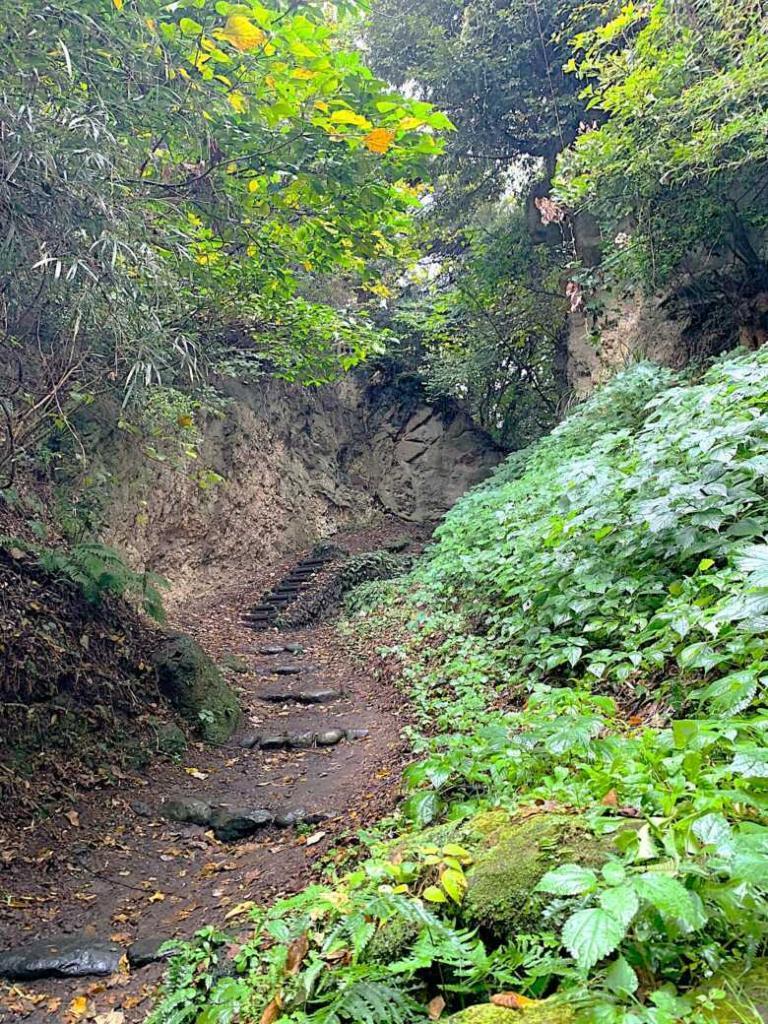 鎌倉 名越切通・第1切通付近