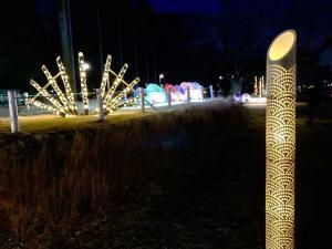 ライトアップされた川越城本丸御殿@2025年2月