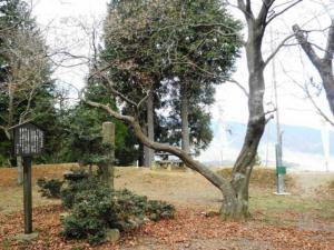 松尾山にある関ヶ原の戦いの小早川秀秋陣跡（岐阜県不破郡関ケ原町）