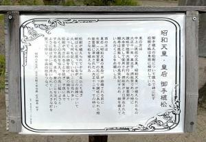 高松城 内苑御庭 御手植松