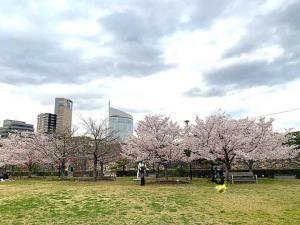 高松城 桜の馬場