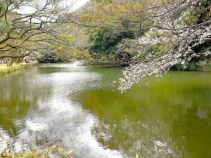栗林公園　西湖