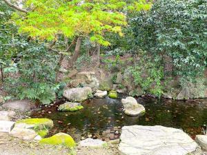 栗林公園　吹上