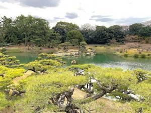 栗林公園　渚山からの景色