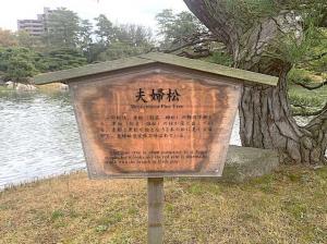 栗林公園 夫婦松