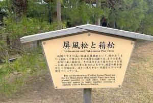 栗林公園 「屏風松と箱松」