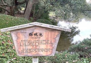 栗林公園　鴨池