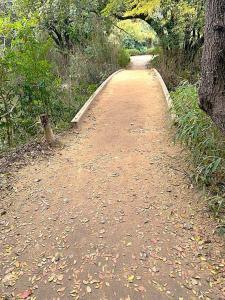 栗林公園　鴨池に掛かる橋