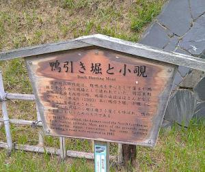 栗林公園　鴨引き