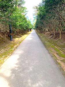 屋嶋城 城門跡~血の池(瑠璃宝の池)の様子