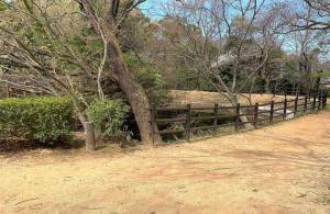 屋嶋城 城門跡~血の池(瑠璃宝の池)の様子