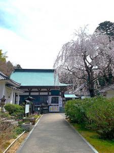 白峯寺 護摩堂から勅額門